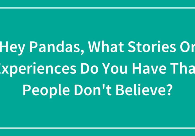 Hey Pandas, What Stories Or Experiences Do You Have That People Don’t Believe?