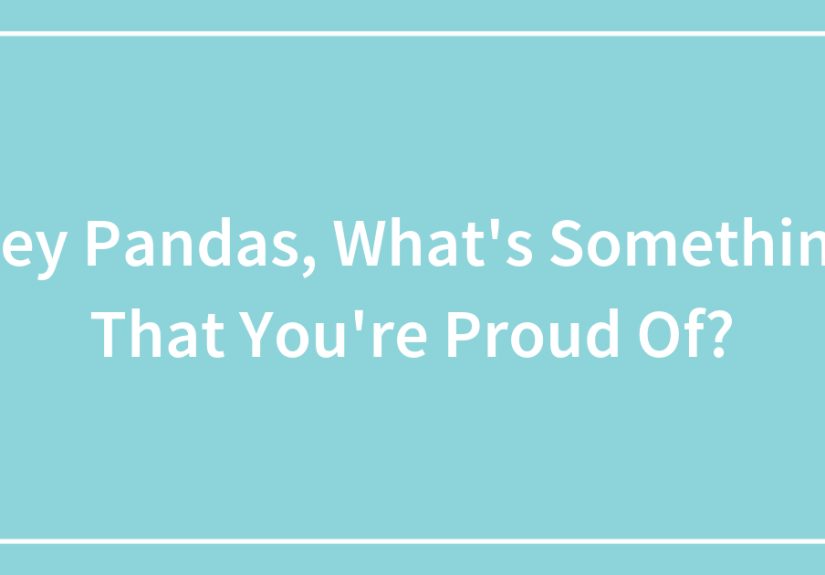 Hey Pandas, What’s Something That You’re Proud Of?