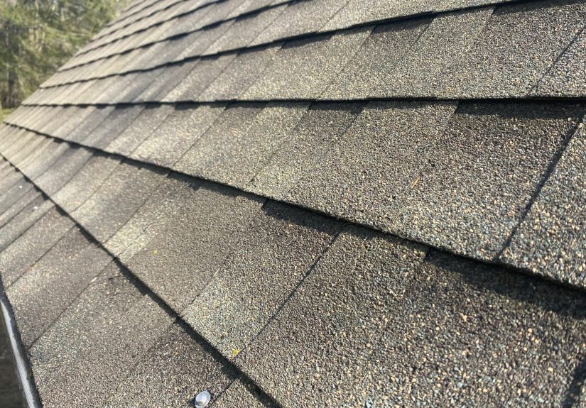 How to Clean Moss Off Your Roof