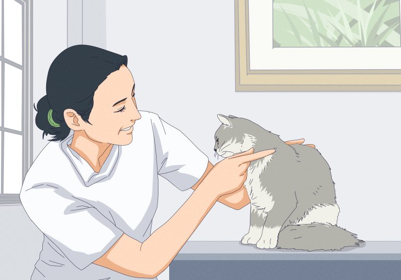How to Express a Cat's Anal Glands: 8 Simple Steps