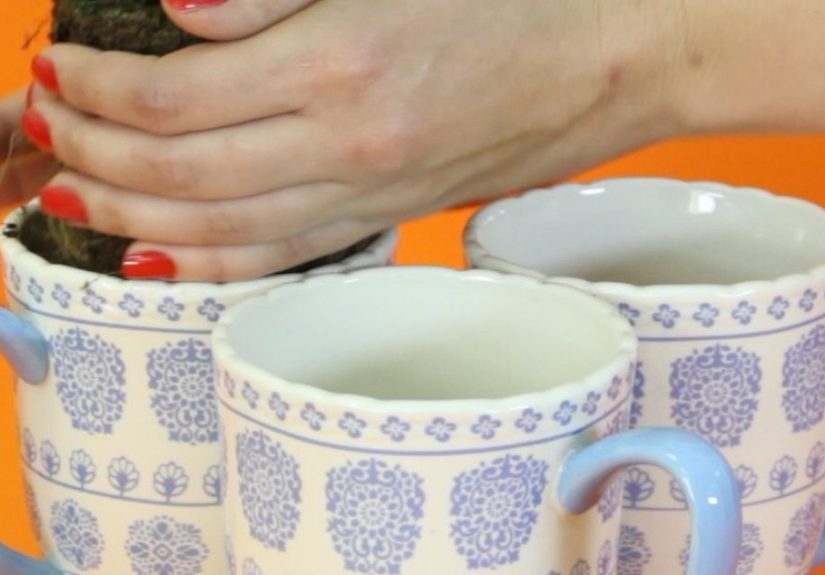 How to Hang an Indoor Herb Garden