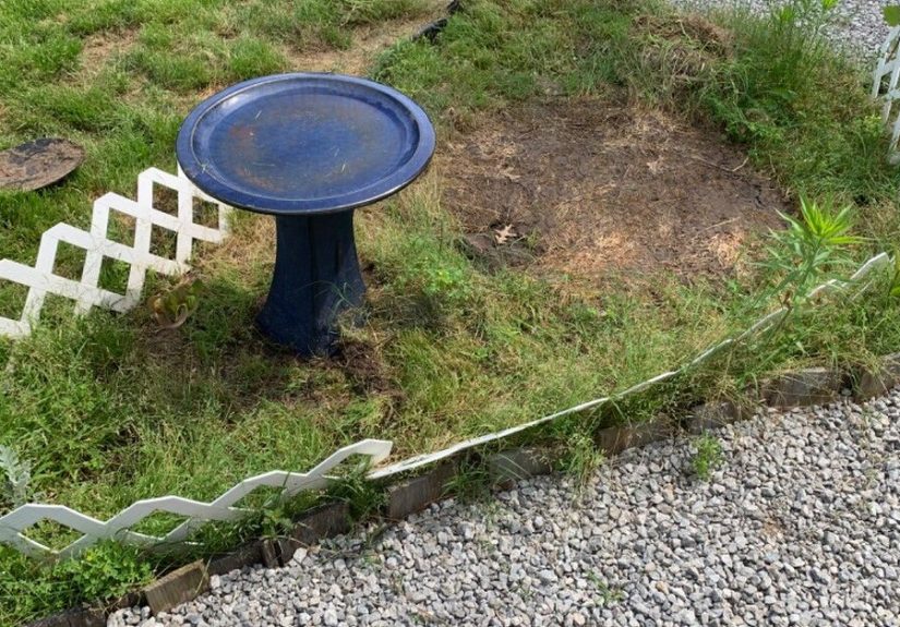 How to Make a Creative Water Fountain Out of Old Wine Bottles