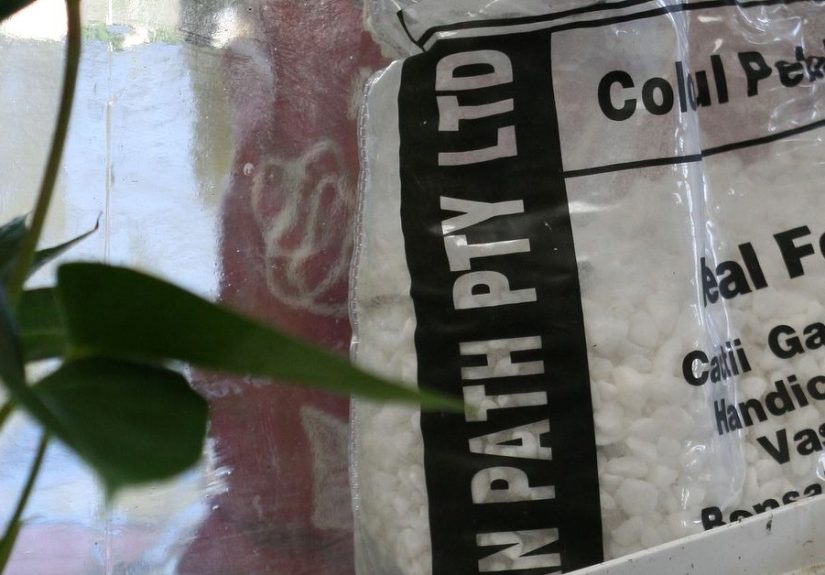 How to Make a DIY Bottle Terrarium