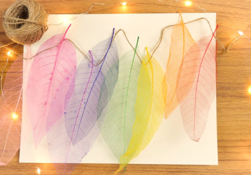 How to Make DIY Skeleton Leaves Step by Step