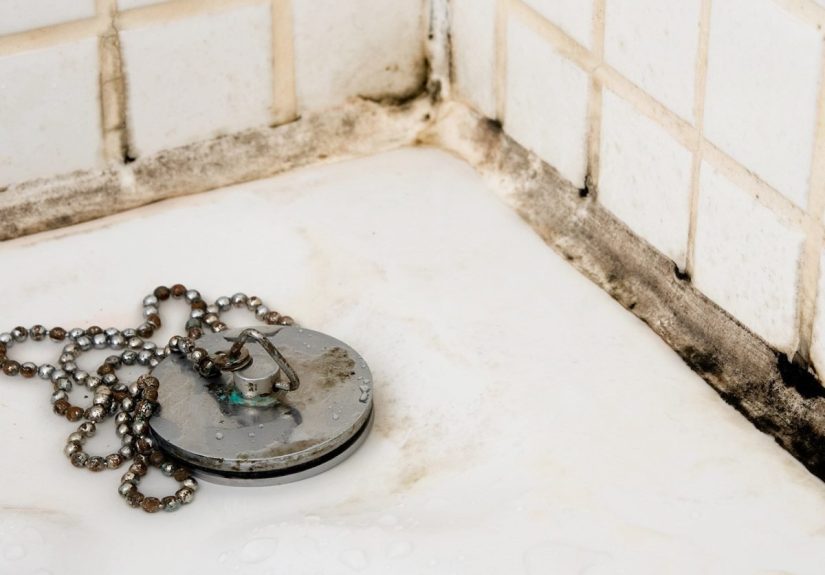 How to Prevent Bathroom Mold (DIY)