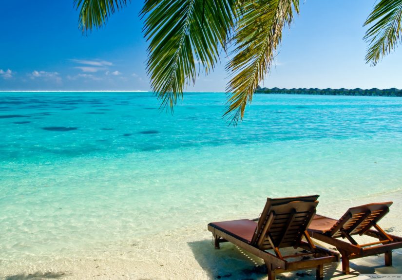 Maximum Unemployment For Maximum Stock Market Returns