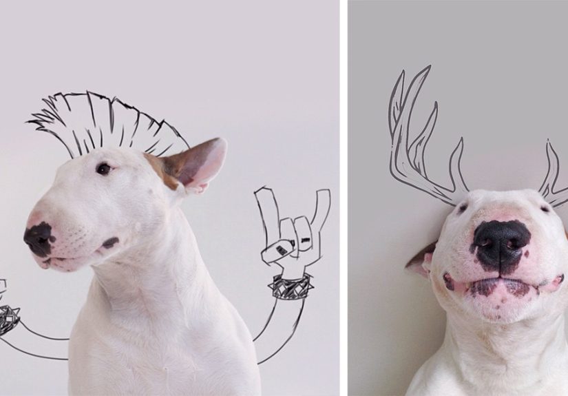 My Wife Left Me With Nothing But A Dog, So I Started This Fun Photo Series