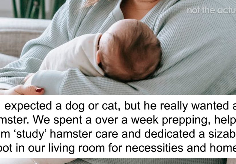 Parent Won’t Make Son Change Hamster’s Name Which SIL Wants For Her Child, She Absolutely “Blows Up”
