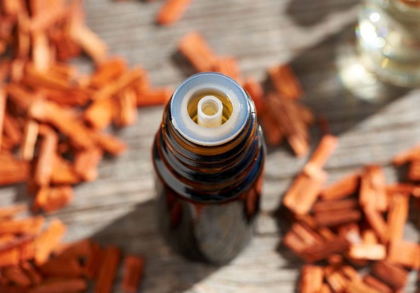 Sandalwood Oil: Health Benefits and Uses