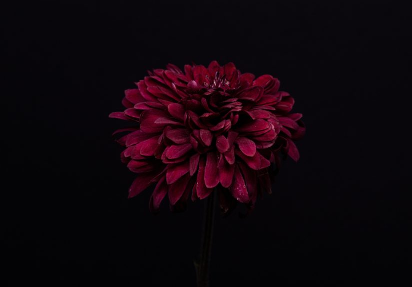 Stepping into the unknown: reflections of an intern on July 1st