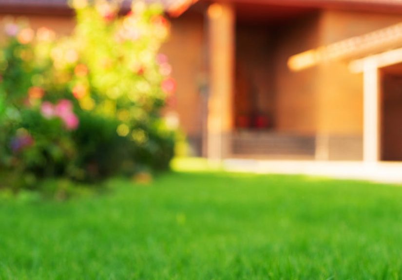 There’s a Right Time to Dethatch Your Lawn