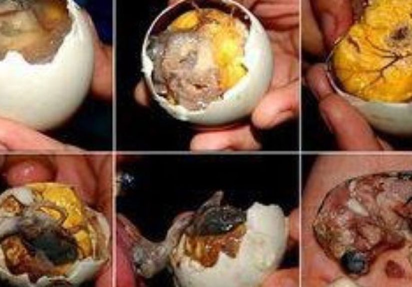 Top 10 Weirdest Foods To Get You In The Mood