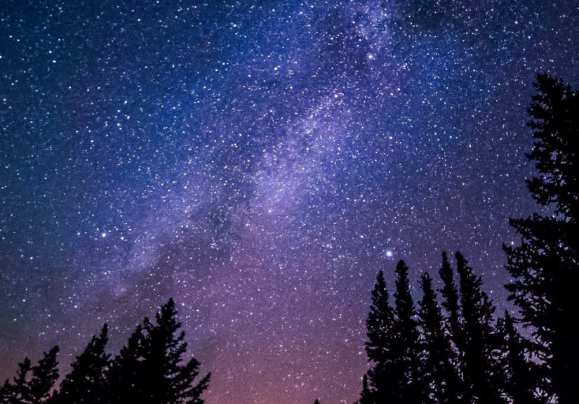 What a Great VP Sales Actually Does. Where The Magic Is. And When to Hire One.