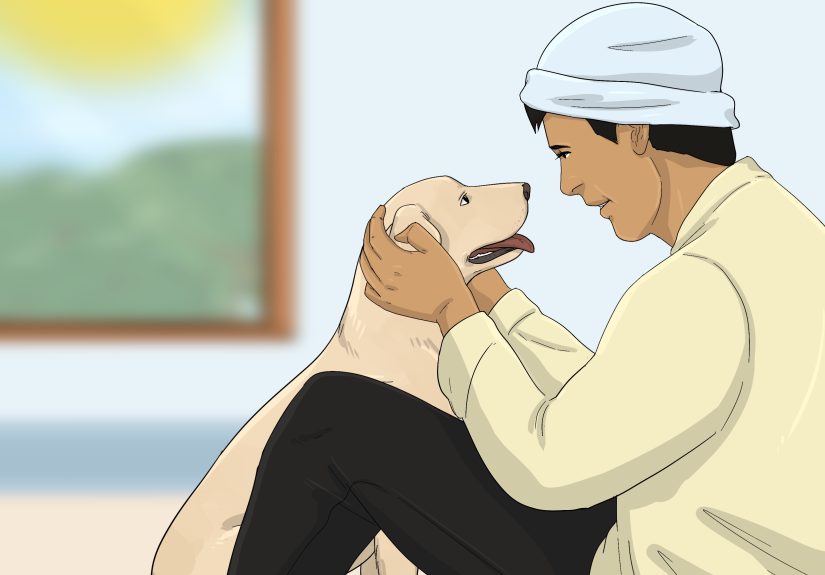 What Is Dog Whale Eye and What Does It Mean? Expert Advice