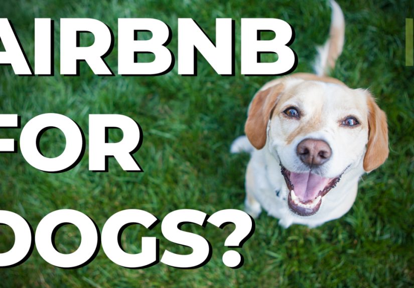 Why a Freestanding Kitchen Is Better Than a Built-In One