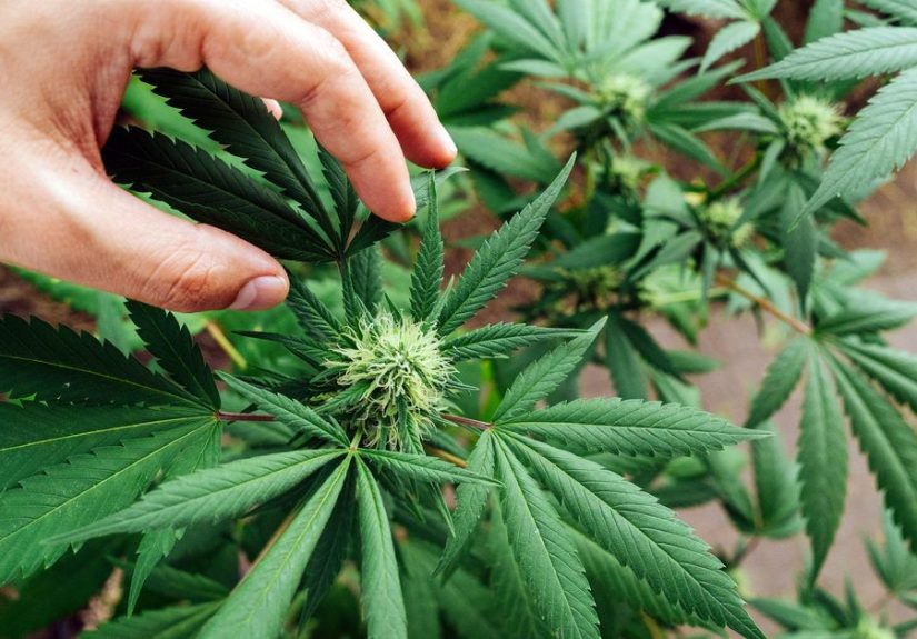 11 Anxiety Relief Strategies to Consider