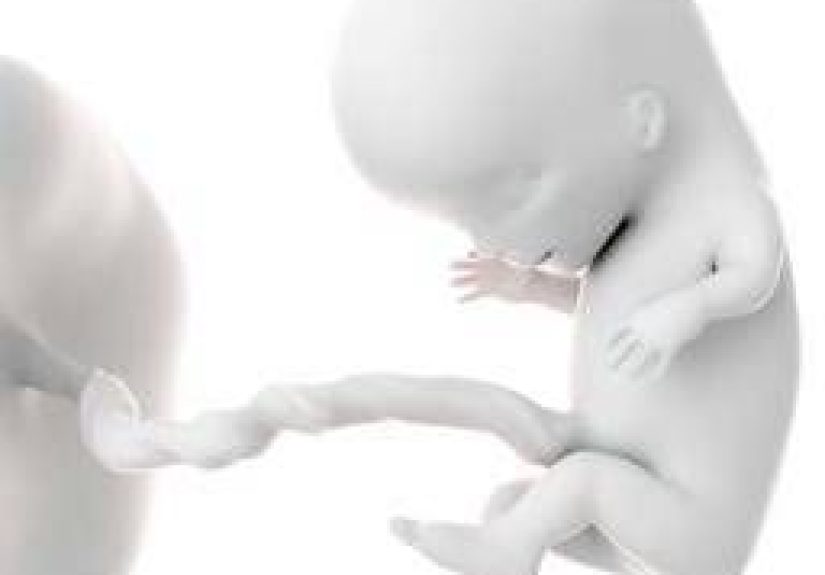 11 Weeks Pregnant: Symptoms, Baby Development, and Hormones