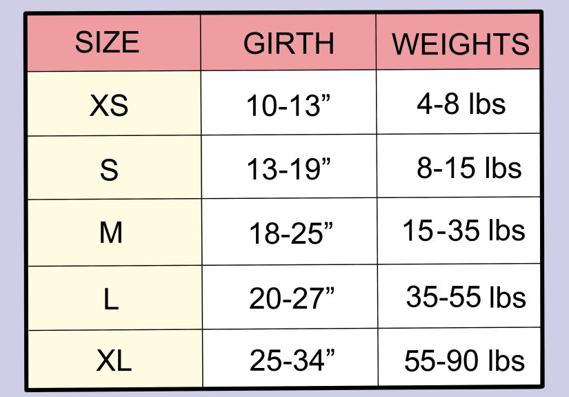 3 Ways to Determine Whether to Diaper a Senior Dog