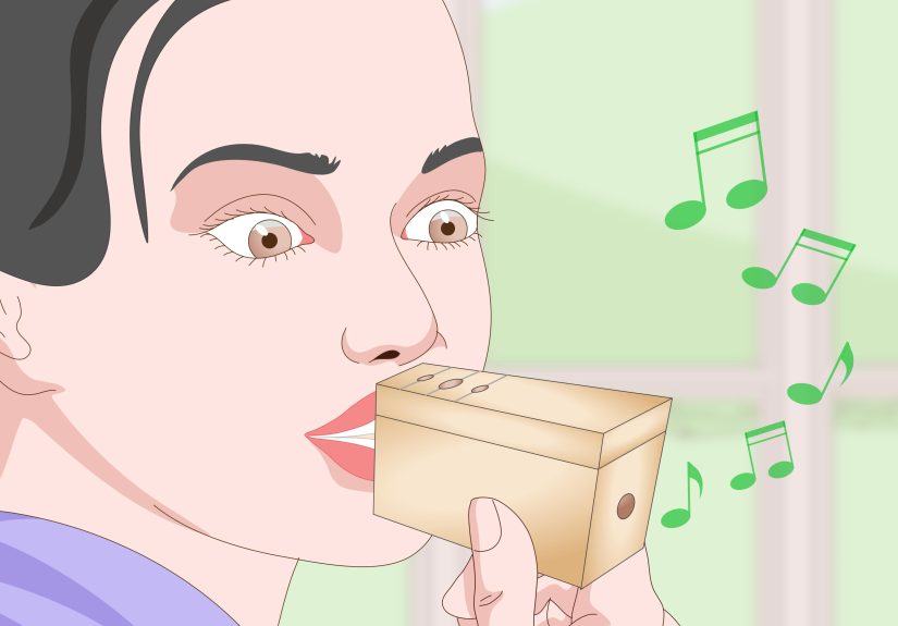 3 Ways to Make a Kazoo