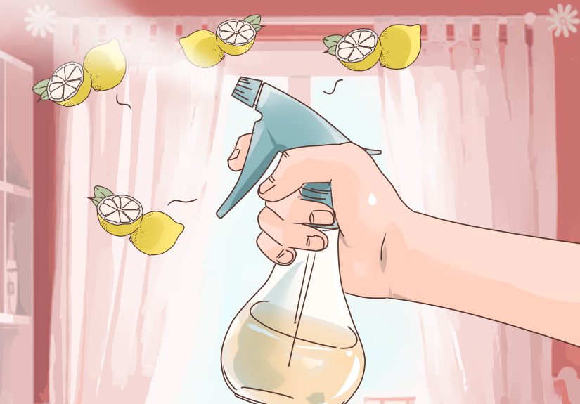 6 Ways to Professionally Clean a House