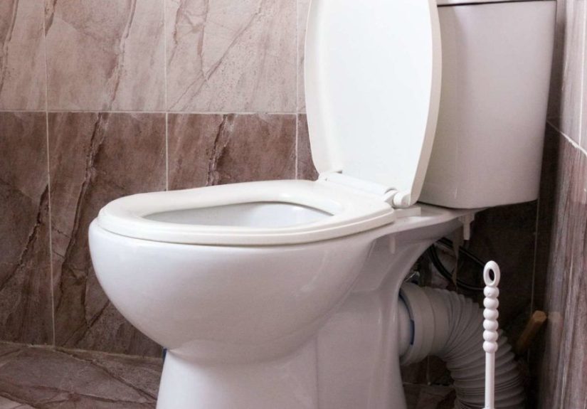 8 causas de heces con mal olor