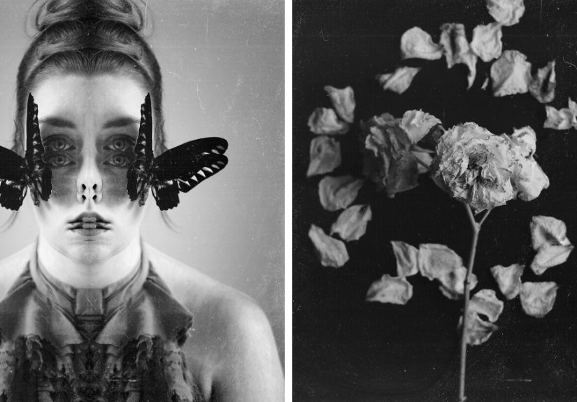 A Visual Exploration Of Narcissistic Abuse And Recovery (15 Photos)