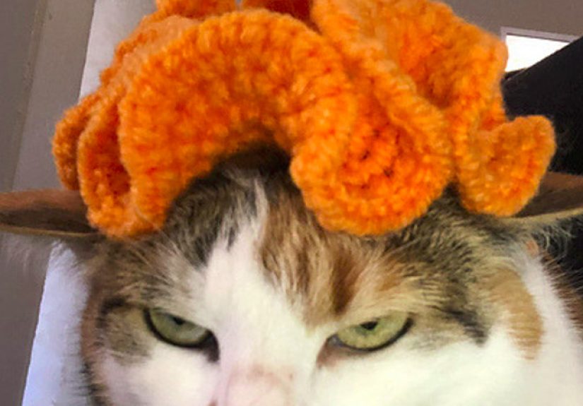 AI Makes Hyperbolic Brain Hats A Reality