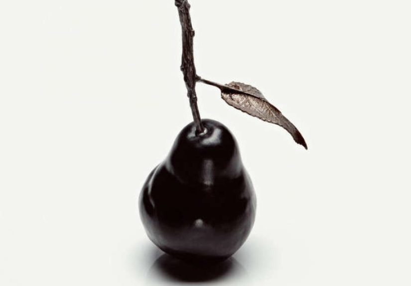 Creel and Gow : Black Ceramic Pear with Painted Pewter Twig and Leaf