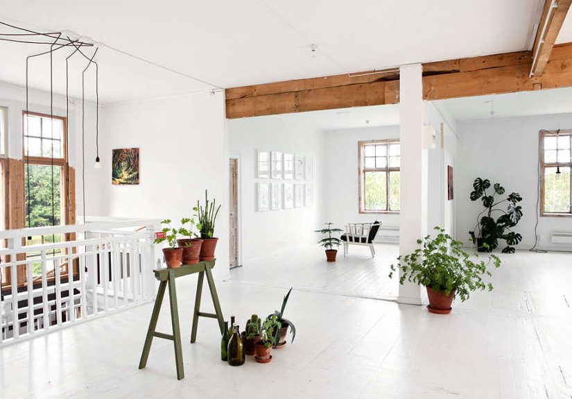 DIY Essential Oils in the Home: Make a Yoga Mat Cleanser