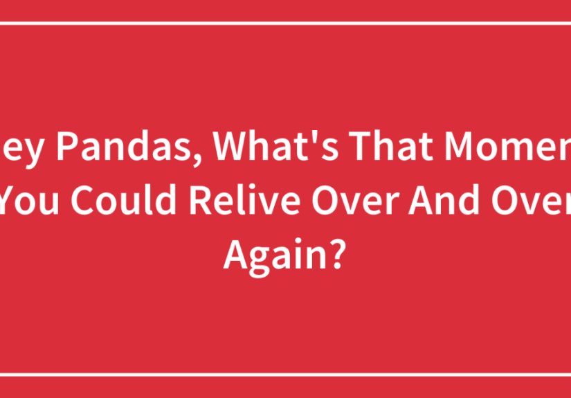 Hey Pandas, What's That Moment You Could Relive Over And Over Again?