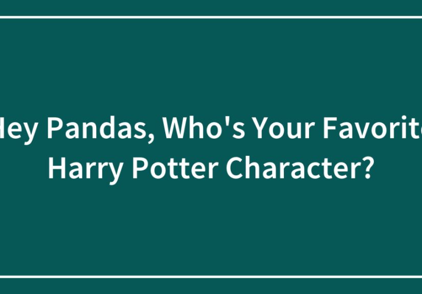 Hey Pandas, Who's Your Favorite Harry Potter Character?