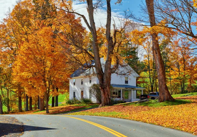 Homeownership Statistics (2025)