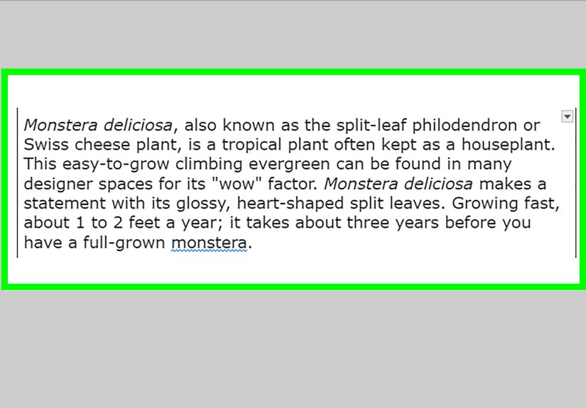 How to Create Vertical Lines in Google Docs Quickly & Easily