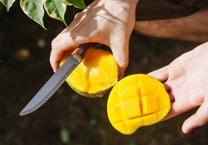 How to Cut a Mango: 6 Simple Ways
