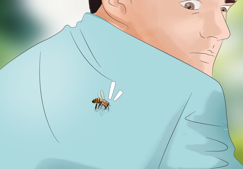 How to Escape from Killer Bees: 11 Steps