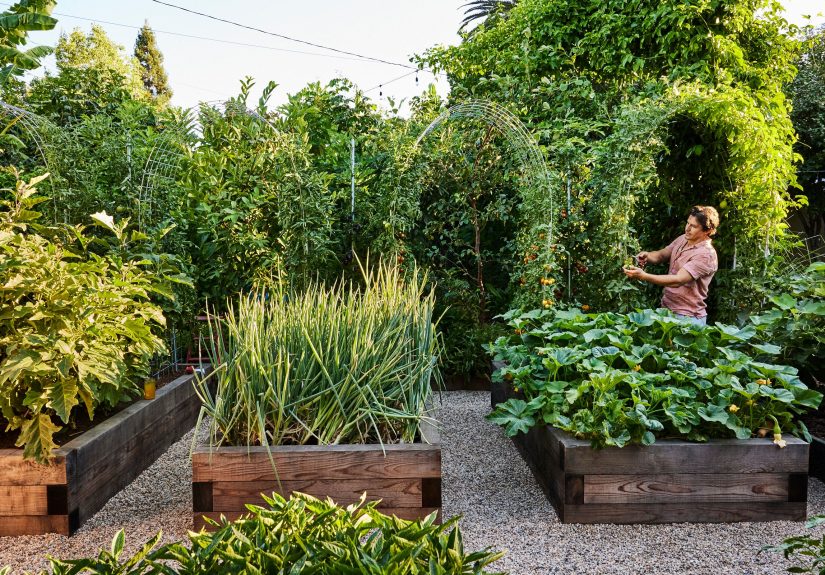 How to Get More Veggies Out of Your Summer Garden, According to Someone Who&rsquo;s Been Harvesting for 20+ Years