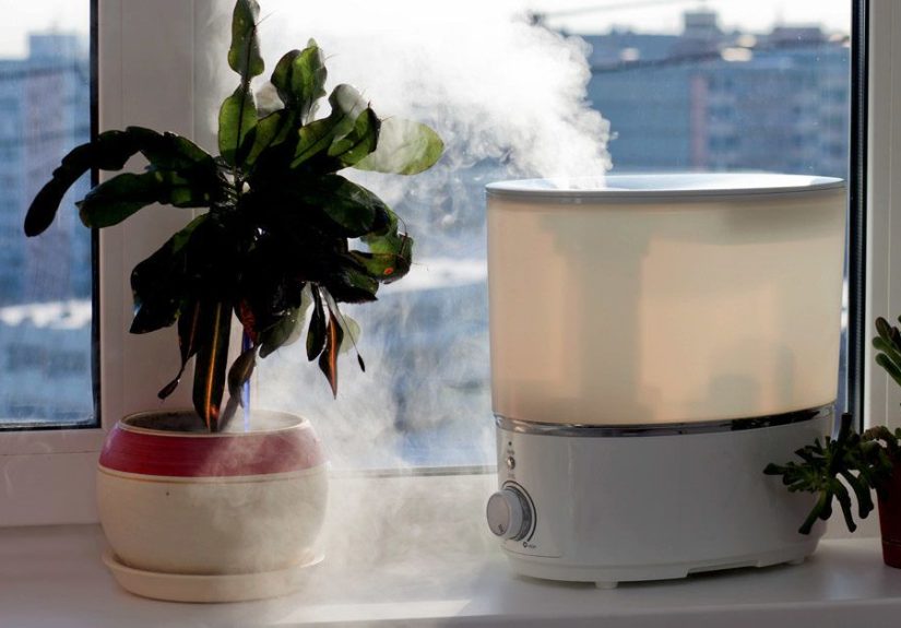 Humidifier vs. Vaporizer: Which One Is Better for Your Needs?