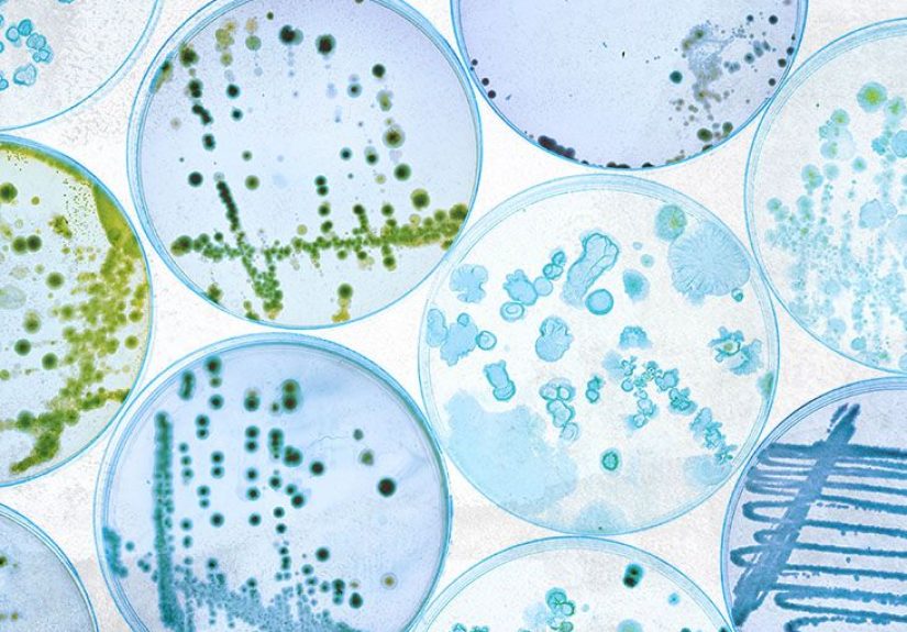 Marginal zone lymphoma: Types, treatment, outlook, and more