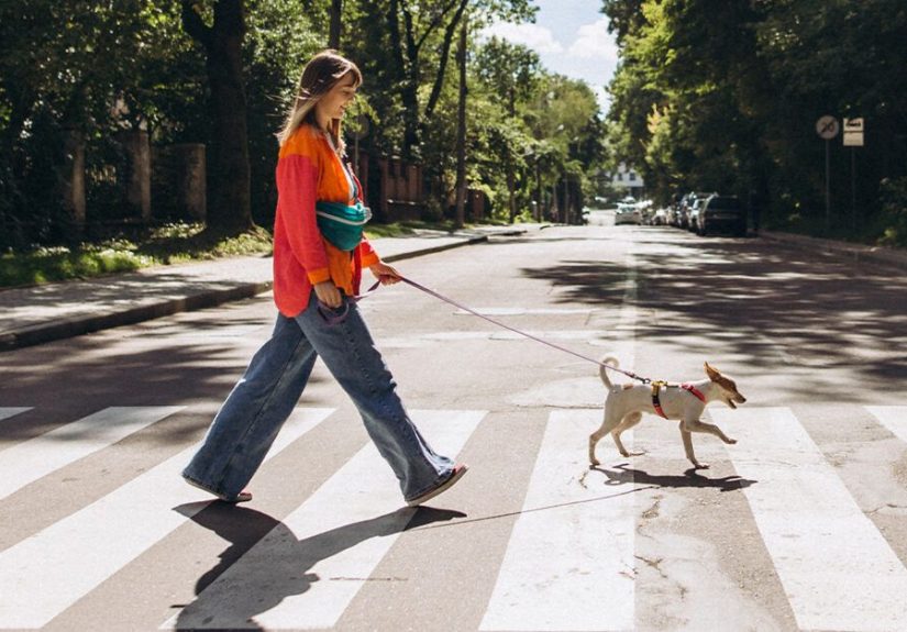 Metabolic Syndrome: Early Natural Menopause Linked to 27% Higher Risk