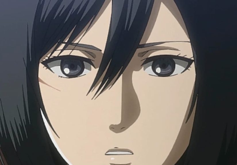 Mikasa Ackerman Rankings And Opinions