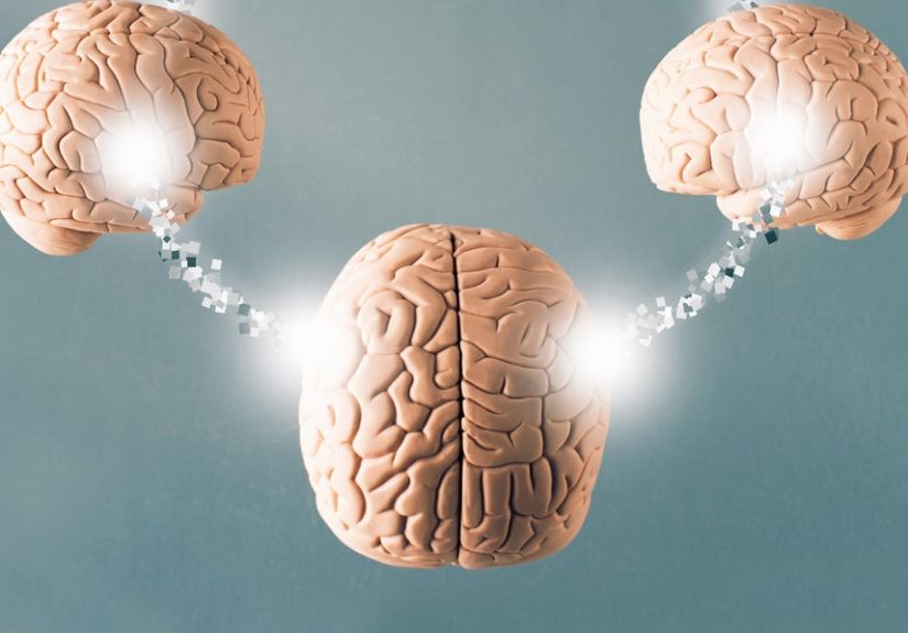 Neural Coupling Shows How Brains Sync During Communication