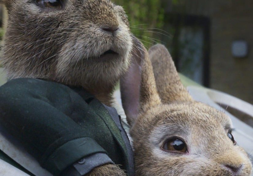 Peter Rabbit 2: The Runaway Rankings And Opinions
