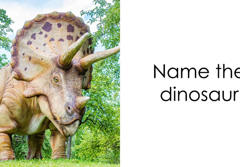 Roar Through These 15 Dinosaur Mysteries And Prove You’re A True Dino Expert