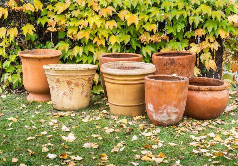 Should You Empty Outdoor Planters Before Winter?