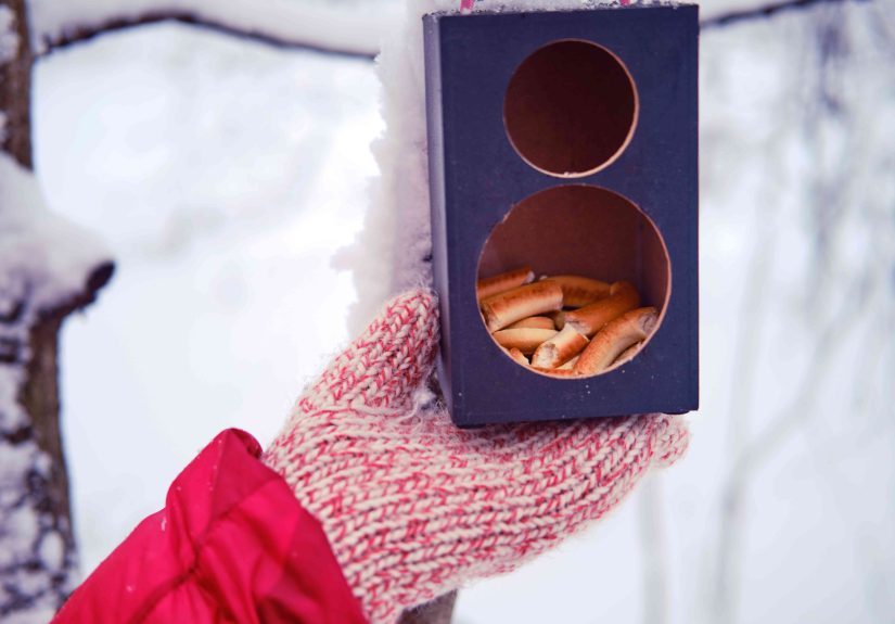 Should You Take Your Bird Feeders Down? Experts Say Most People Get It Wrong