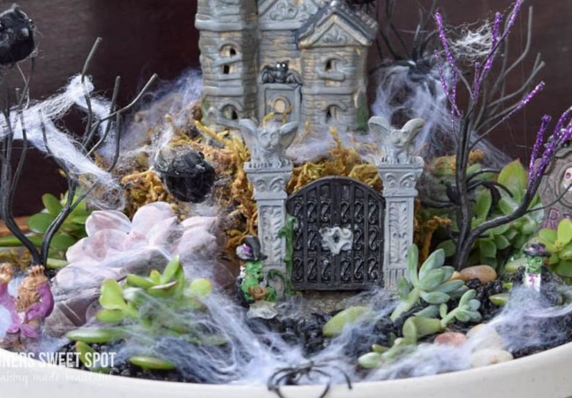 Spooky Succulent Garden #halloween