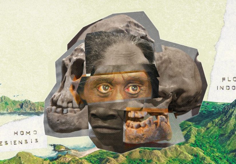 The ‘Hobbit’ May Be an Human Species Once Thought to Be Extinct