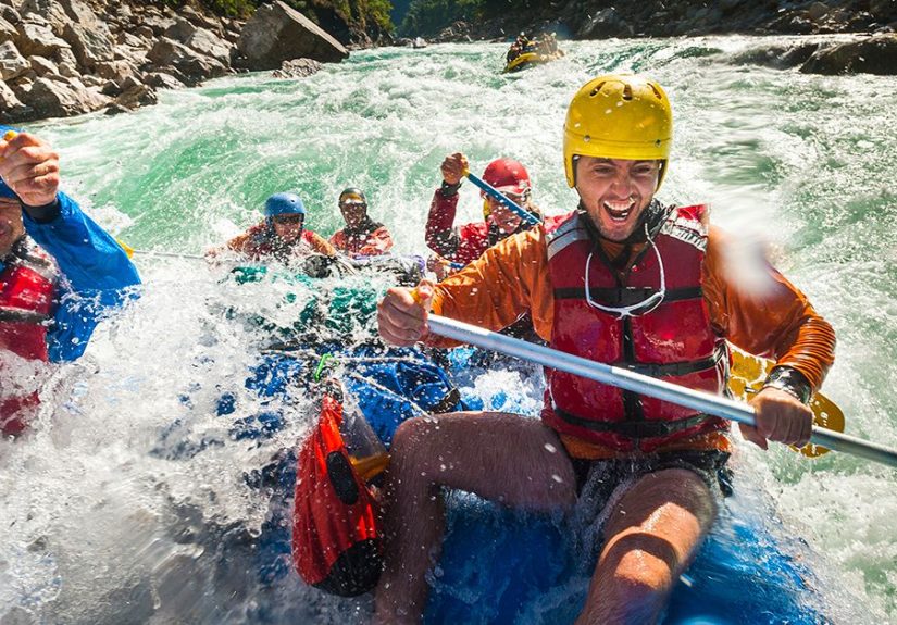 What Is Fight, Flight, or Freeze?