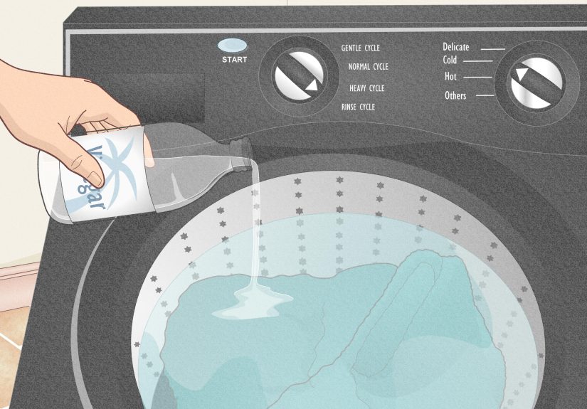 10 Incredibly Easy Ways to Remove Dog Hair from Blankets