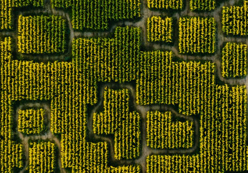 50 Breathtaking Photos From Our Landscape 2019 Contest